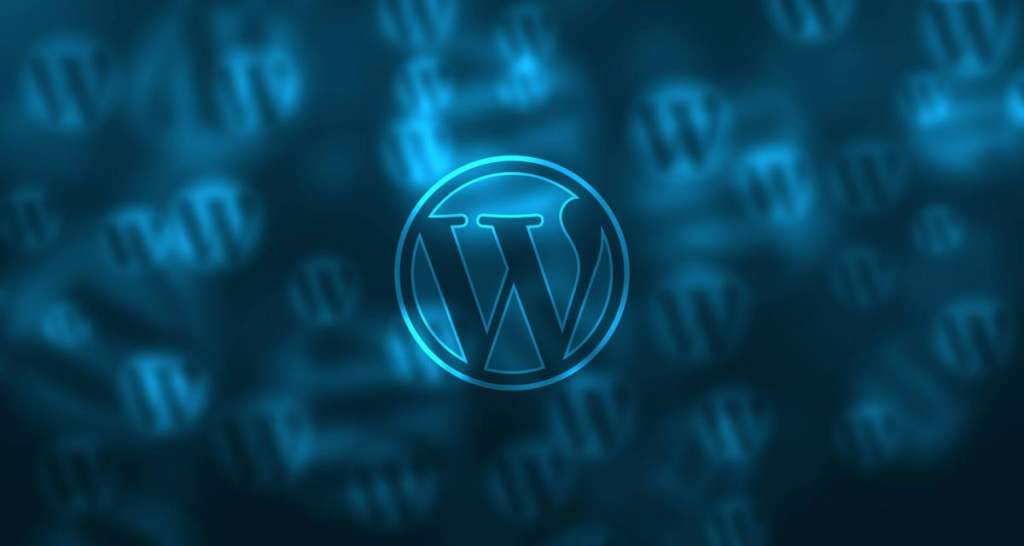 So You’ve Heard About WordPress?